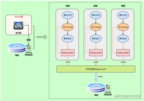 How To Find Bin Log In Mysql