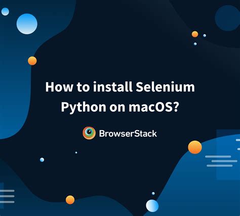How To Find Button In Selenium Python
