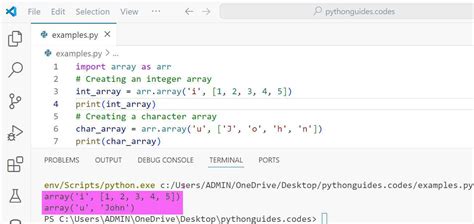 how to find data type of array in python