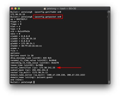 how to find dhcp server mac address