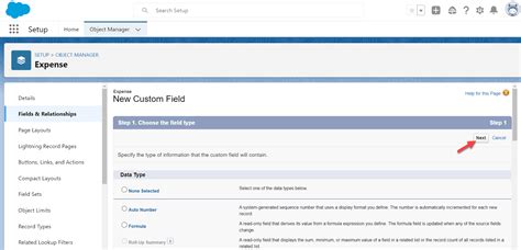 How To Find Field Data In Salesforce