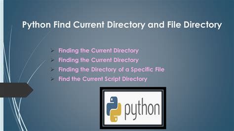 How To Find File Directory In Python
