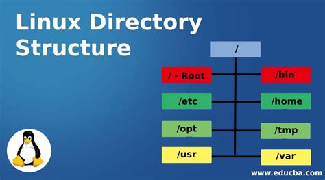 How To Find File In Directory In Linux