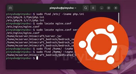 how to find file path in linux terminal
