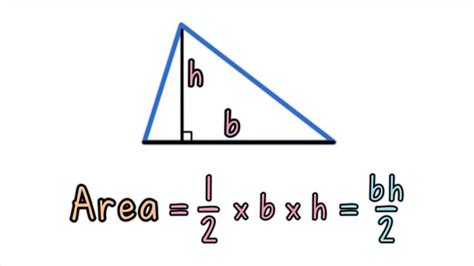 how to find height of a triangle with only area and base