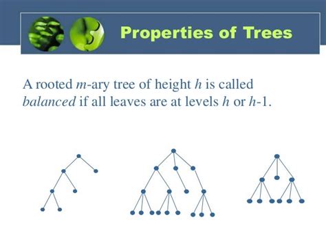 how to find height of tree in discrete mathematics