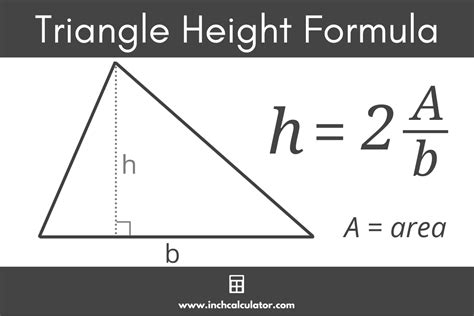 how to find height of triangle using area and base