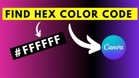 how to find hex code of a color in canva