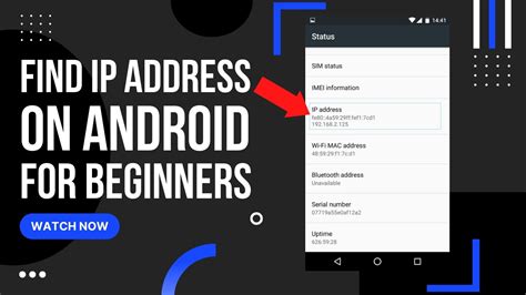 how to find ip address in android mobile