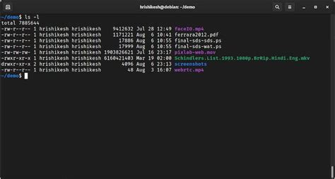 How To Find Largest File In Linux