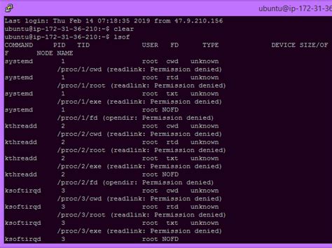 how to find list of open files in linux