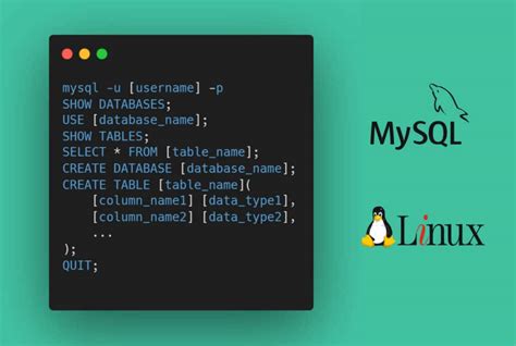 how to find mysql database in linux