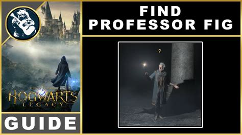 how to find professor fig