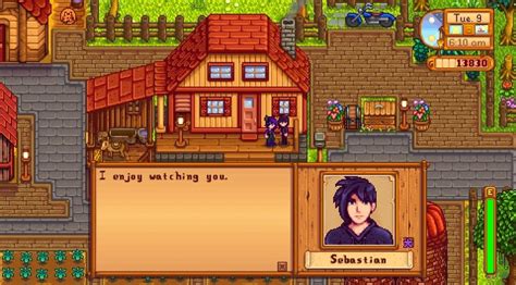 how to find sebastian in stardew valley