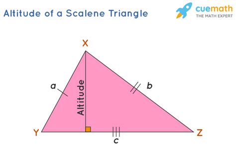 how to find the altitude of a scalene triangle