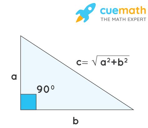 how to find the perimeter of a right triangle on a graph