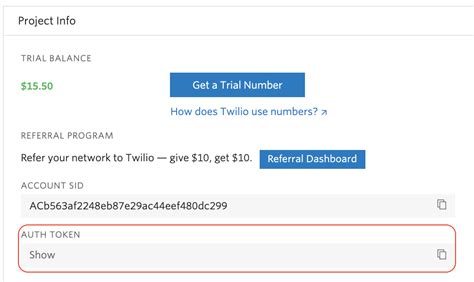 how to find twilio auth token
