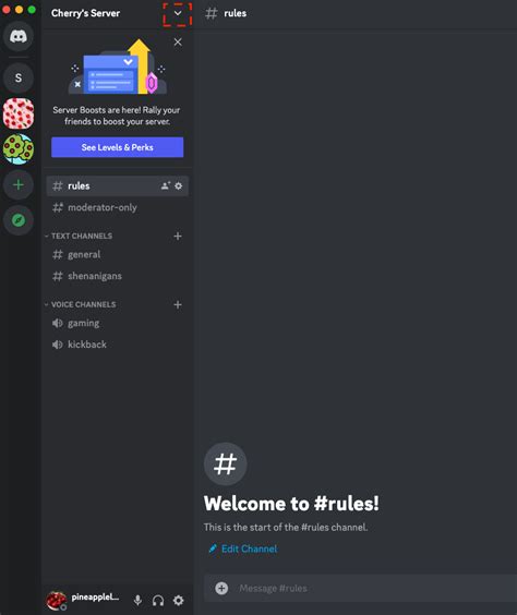 how to find your discord verification key