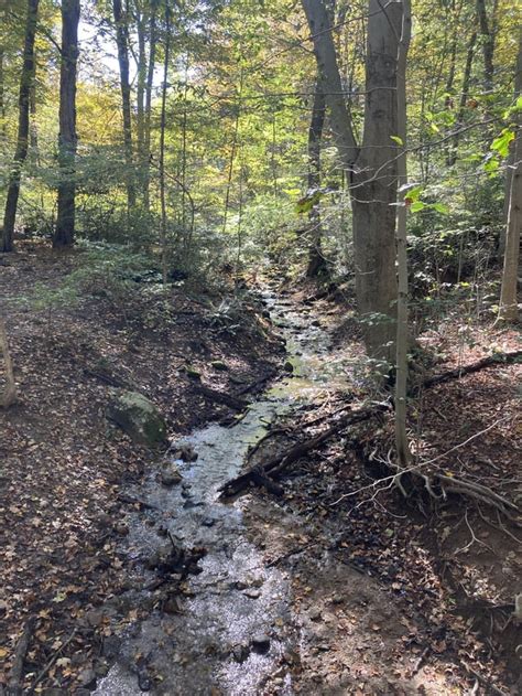 Resource Management Lost in the Woods? Here is Your Way Out MPUG