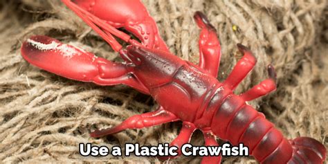 How To Fish Plastic Crawfish