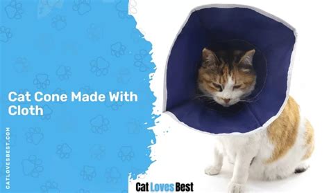 how to fit a cat cone