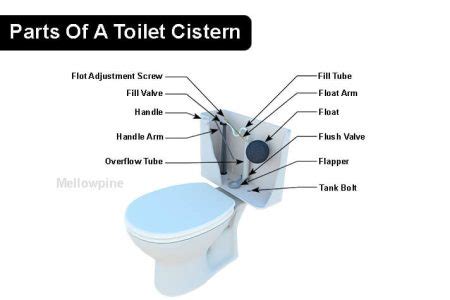 How To Fit Cistern To Toilet