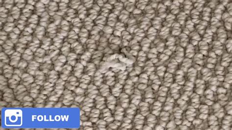 How To Fix A Pull In Loop Carpet