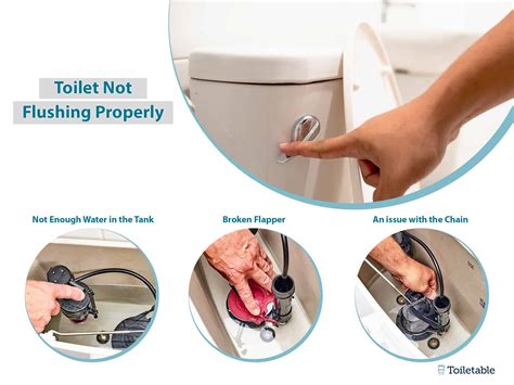 How To Fix A Toilet When It's Not Flushing