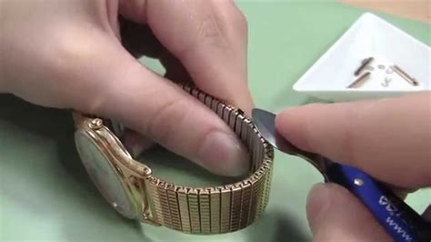Broken Watch Band Link or Pin