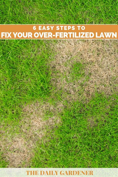 How To Fix Over Fertilized Lawn AGreenHand