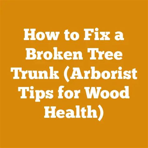 How To Fix Broken Tree Trunk