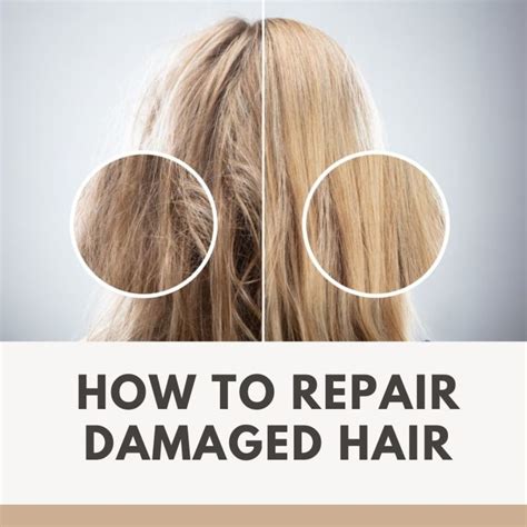 How To Fix Completely Damaged Hair  A Step By Step Guide