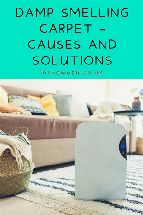 How To Fix Damp Smelling Carpet