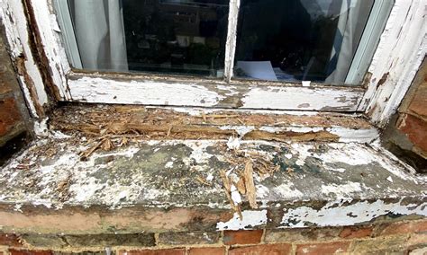 How To Fix Dry Rot In Window Frame