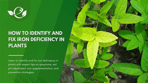 How To Fix Iron Table