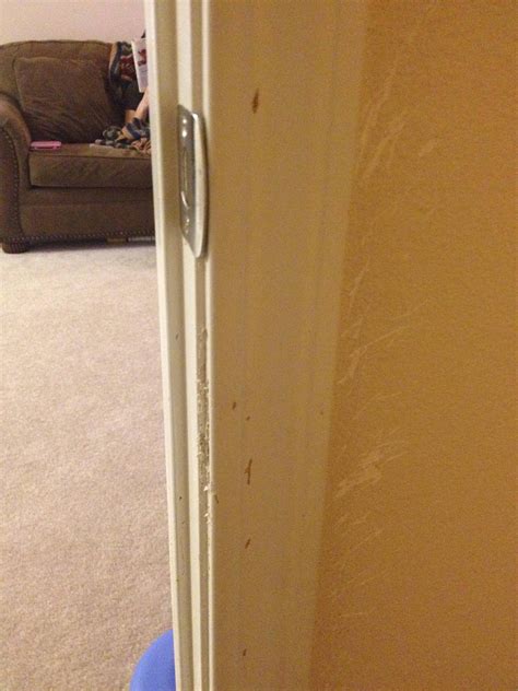 how to fix scratches on a metal door