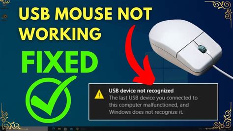 how to fix usb mouse not recognized windows 10