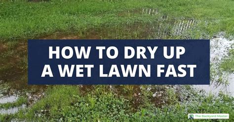 How To Fix Wet Grass