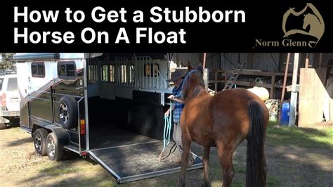 How To Float A Horse