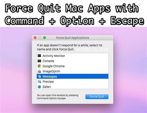 how to force stop a program on macbook
