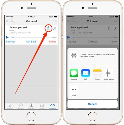 how to forward a contact to voicemail iphone