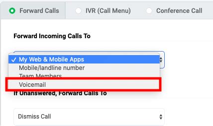 how to forward certain calls to voicemail