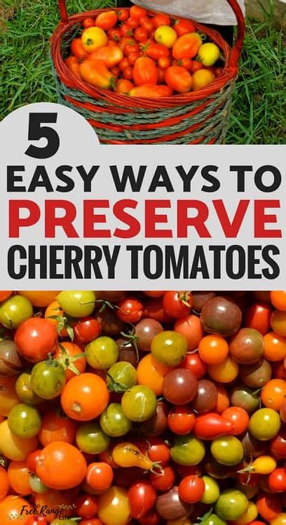 how to freeze cherry tomatoes from the garden