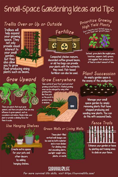 how to garden ideas examples tips ideas inspiration tutorial
