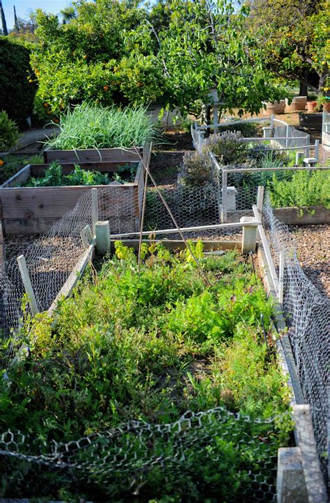 how to garden ideas guide examples examples tutorial tutorial tutorial tutorial tutorial tutorial