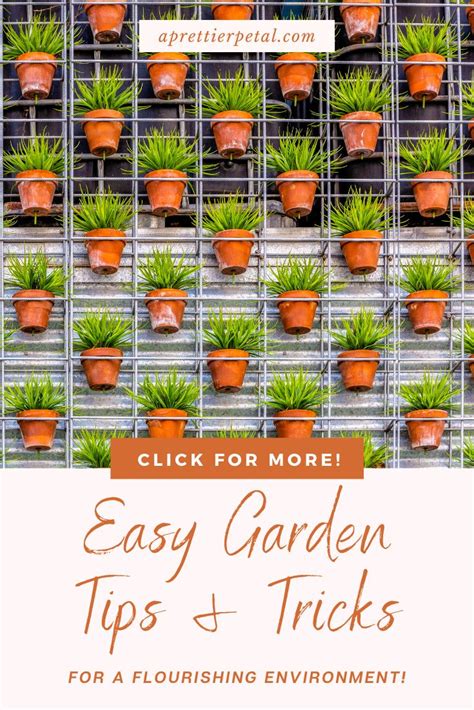 how to garden ideas tips tutorial tips ideas examples