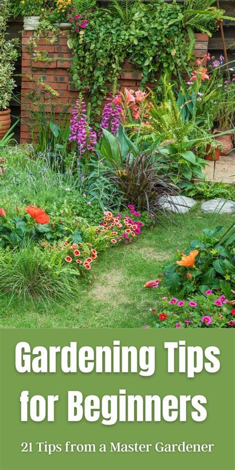 how to garden ideas tips tutorial tutorial tips tips examples guide