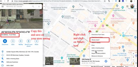 how to geocode addresses in google maps