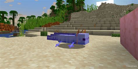 How To Get A Blue Axolotl In Minecraft Switch