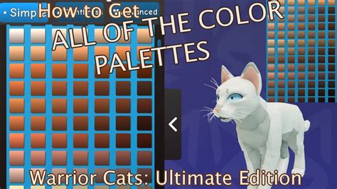 how to get a blue cat